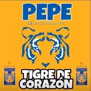 Meet your Posher, Jose